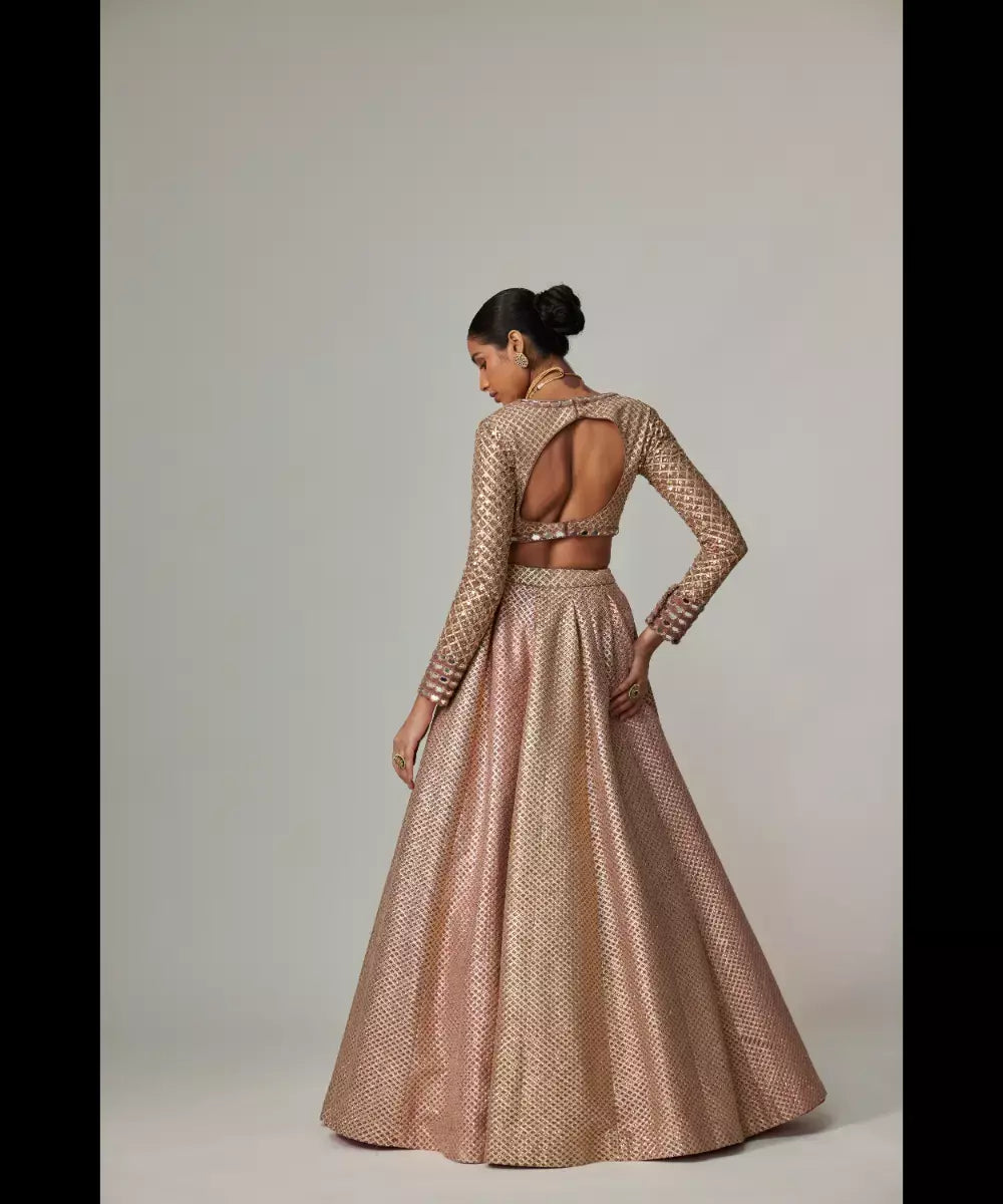VVANI VATS - Deep beige multicolor V Neck Crop Top with Skirt